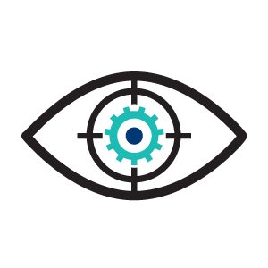 Vision
