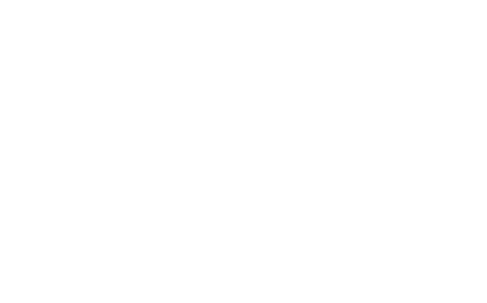 stats-governance-structure-white